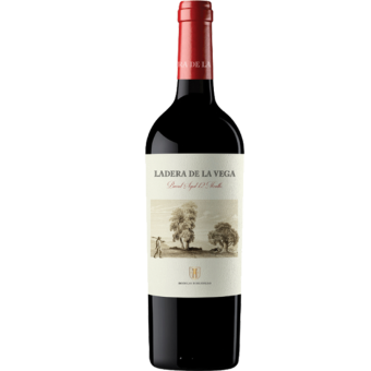 Ladera de la Vega Tinto 2021